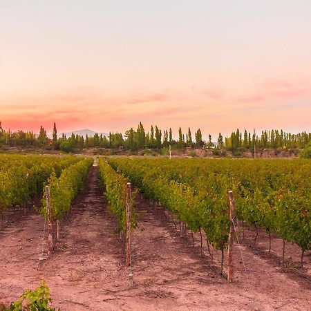 Marale Wines Hotel Boutique Villa Media Agua 外观 照片