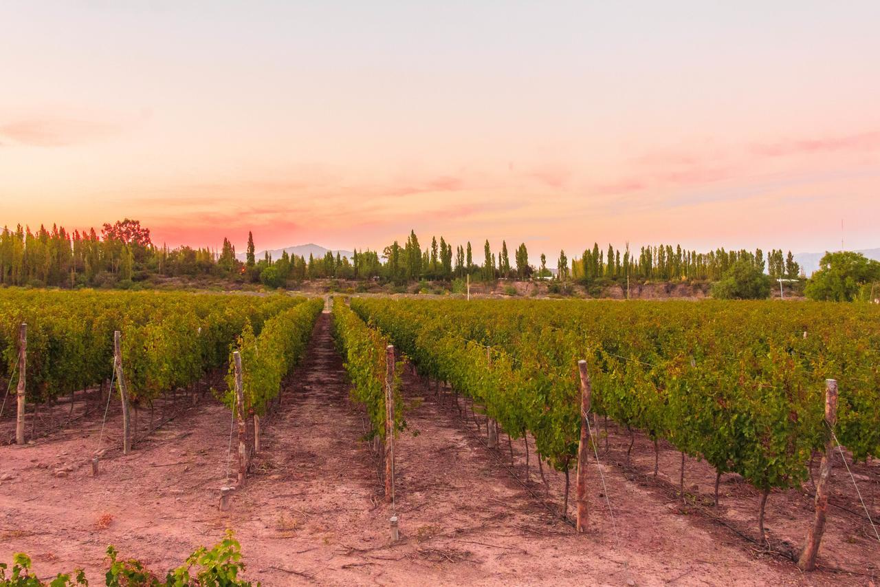 Marale Wines Hotel Boutique Villa Media Agua 外观 照片