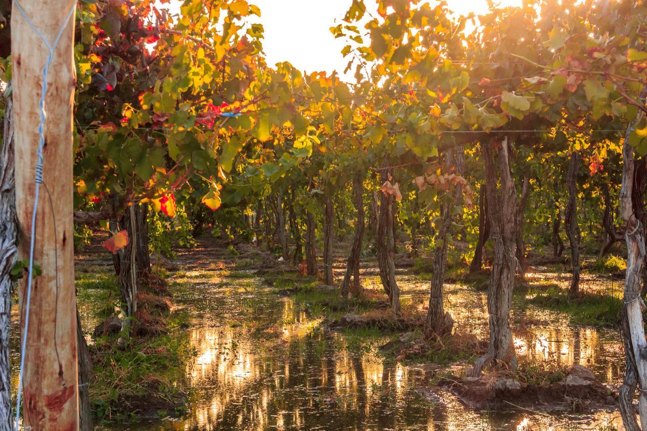 Marale Wines Hotel Boutique Villa Media Agua 外观 照片