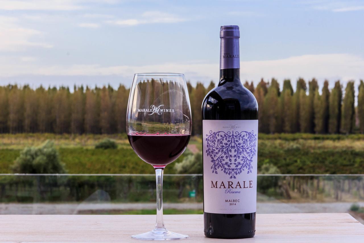 Marale Wines Hotel Boutique Villa Media Agua 外观 照片